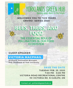 Come and learn how pollinators work!