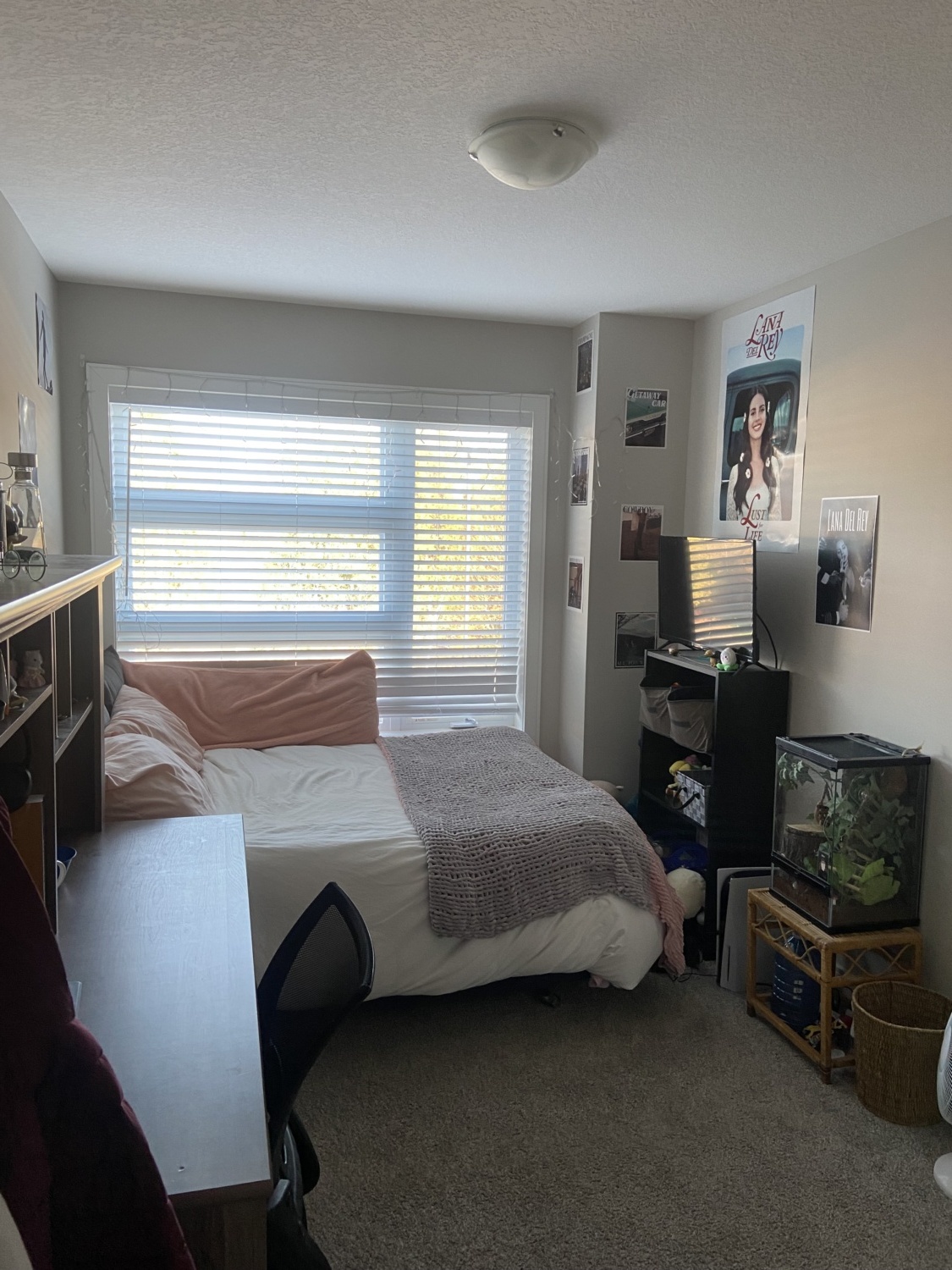 60 Arkell Rd, Guelph