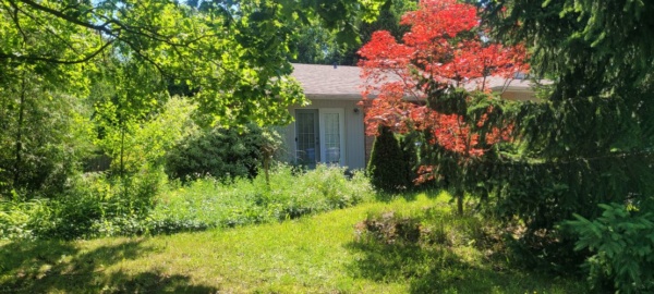 Listing photo